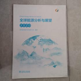 全球能源分析与展望 2020