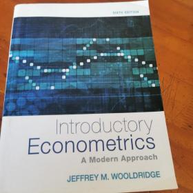 Introductory economics A modern approach