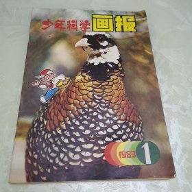 少年科学画报 1983.1