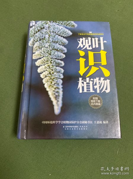 观叶识植物（汉竹）