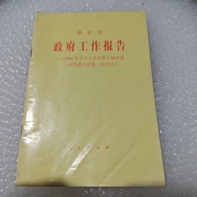 溫家寶政府工作報告——2004年3月5日在第十屆全國人民代表大會第二次會議上
