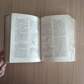 农村医生手册