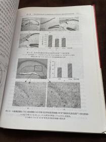 二氧化钛纳米材料生物效应与安全应用