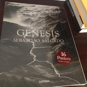 Salgado  Poster Box