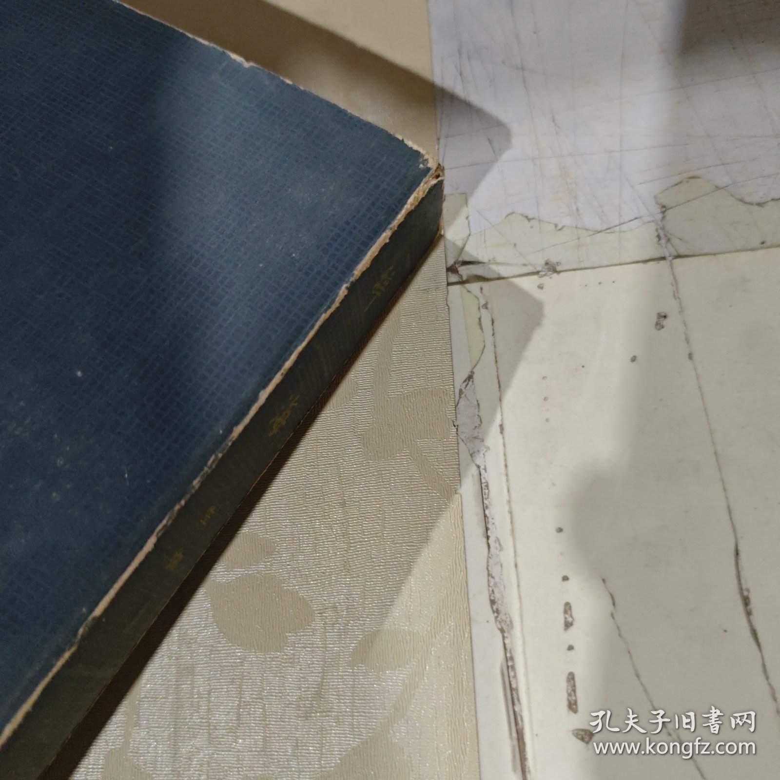 辞海修订本 生物