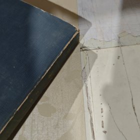 辞海修订本 生物