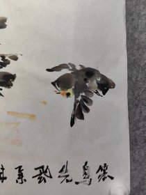 新金陵十六家 朱鲁平, 精品花鸟画一副 保真出售 职业画家，号幼公，又号鲁达。1954年11月出生于北京，祖籍山东烟台，现居南京。著名写意花鸟画家，金陵16家之一，现为江苏美术家协会会员；中国民主建国会南京市委文化委员会主任，中国民主建国会江苏省委文化委员会副主任，中国民主建国会中央委员会文化委员会委员，中国民主建国会中央画院院士，汉彩书画院院长