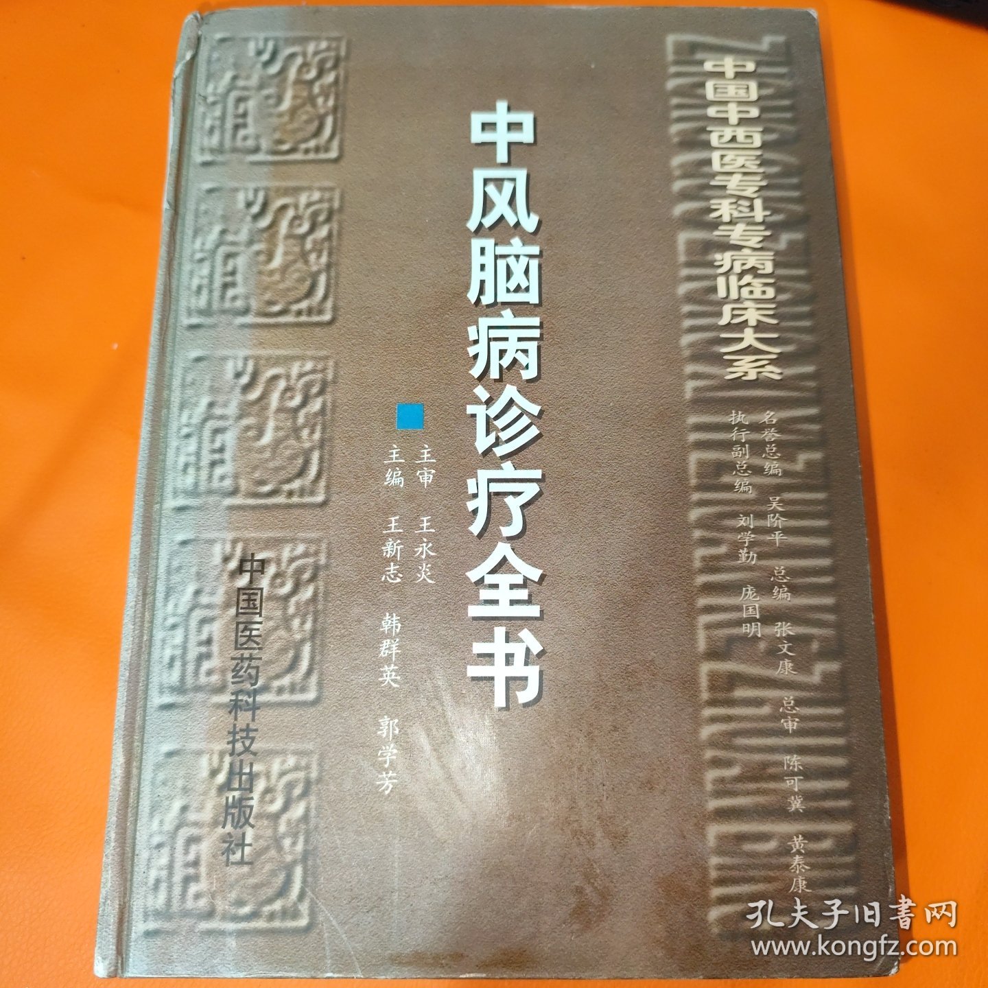 中风脑病诊疗全书