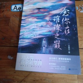 念你在璀璨之巅