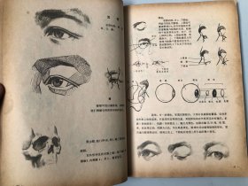 浙江美术学院编撰教材 人体结构书籍