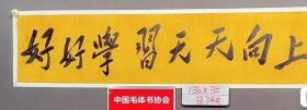 高炎生，毛体书法家。
    江西省书法家协会会员，中国书画家协会理事，从小喜爱书法，书法作品曾在省内外书法比赛中多次获奖。2008年4月以来，高炎生毛体书法作品先后在南昌、吉安、深圳、苏州、江西师大、蓝天学院等地展出
尺寸136X30。好好学习 天天向上。