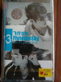 韩国组合 “飞行青少年 Fly to the Sky” Brian及Fany 磁带 爱情海 Sea of Love，上海星汉2002年出版发行，全新未拆封。