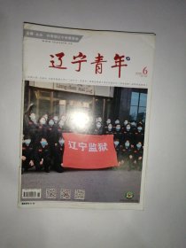 辽宁青年2020全年12期合售