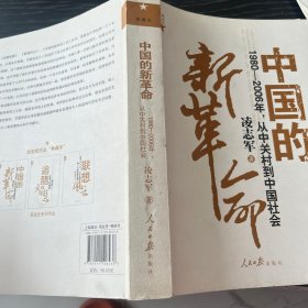 中国的新革命：1980－2006年，从中关村到中国社会