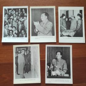 毛泽东照片一组，共五张