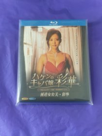 经典日剧《派遣女公关•彩华》BD25蓝光。精品盒装无删减完整版，HDTV高清版+精准中文字幕。详情细节请看图。