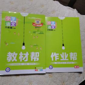 教材帮（六年级下册语文2020人教版，统编教材）全新