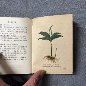 广西实用中草药新选 彩图