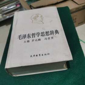 毛泽东哲学思想辞典（内页干净）