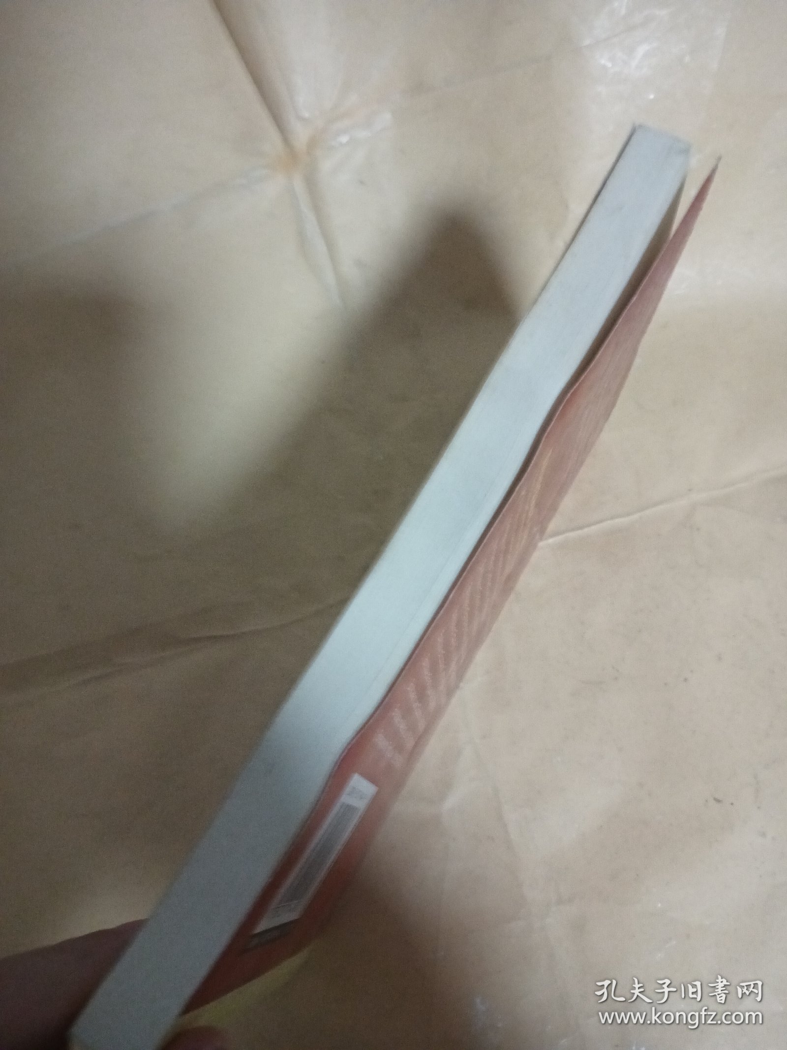 公司法简明案例（第2版）