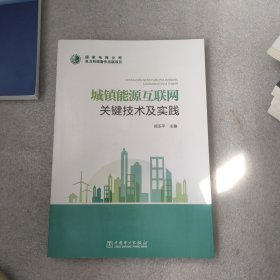 城镇能源互联网关键技术及实践