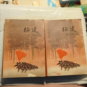 征途（上下册2册合售）