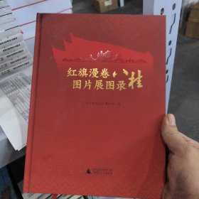红旗漫卷八桂图片展图录