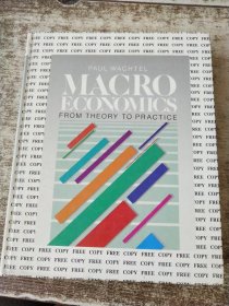 MACRO ECONOMICS FROM THEORY TO PRACTICE 原英文版