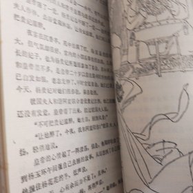 杨贵妃：上下册