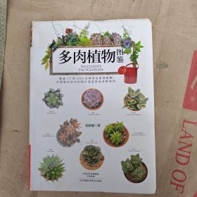 多肉植物图鉴