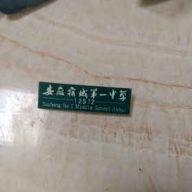 安徽宿城第一中学校徽