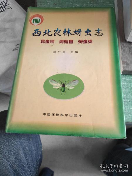 西北农林蚜虫专：昆虫纲、同翅目、蚜虫类