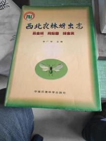 西北农林蚜虫专：昆虫纲、同翅目、蚜虫类