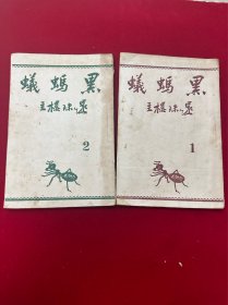 黑蚂蚁，1.2集