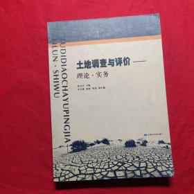 土地调查与评价:理论·实务