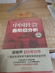 中国社会各阶层分析