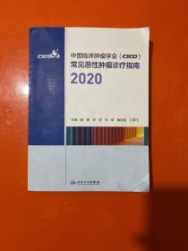 中国临床肿瘤学会（CSCO）常见恶性肿瘤诊疗指南2020