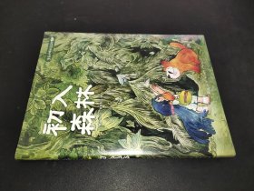 初入森林-芦花和胖头鸟森林系列1