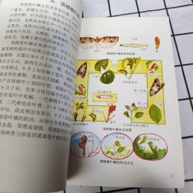 苹果病虫害防治画册