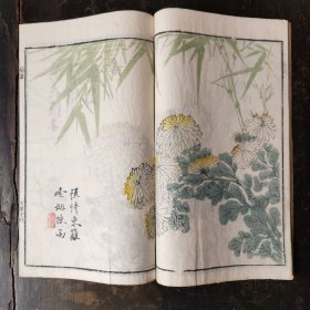 白纸精刻套印，嘉庆年《菊谱》！芥子园焕记