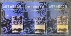 海南文史资料. 铁蹄下的腥风血雨——日军侵琼暴行实录第九、十、十一辑（上、下和续共三本）