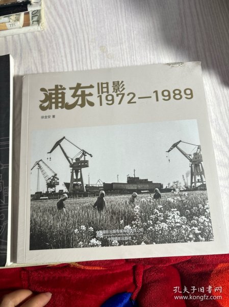 浦东旧影(1972-1989)