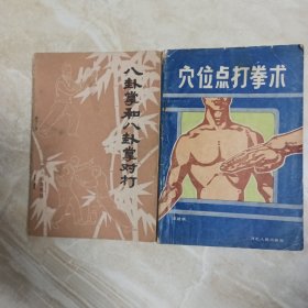 八卦掌和八卦拳对打，穴位点打拳术，2本合售