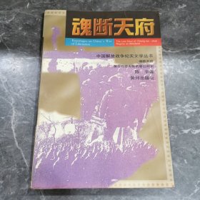 魂断天府:蒋介石在大陆最后时刻