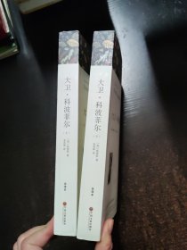 大卫·科波菲尔 全译本平装版(全2册)