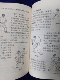 永春白鹤拳 中华武术文库 私藏自然旧品如图看图看描述(本店不使用小快递 只用中通快递)