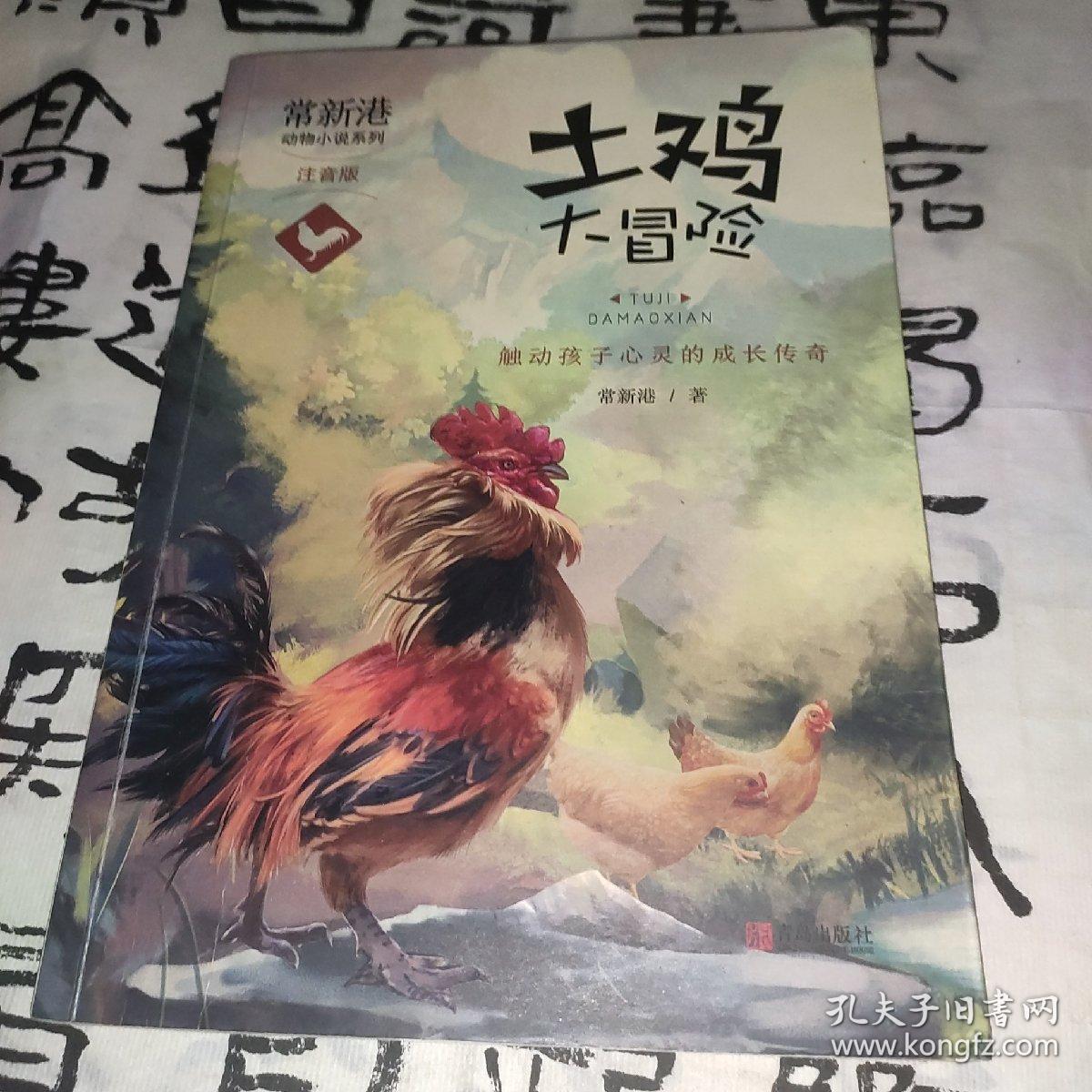 常新港动物小说系列：土鸡大冒险（注音版）