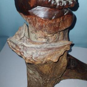 清代达摩祖师 达摩木雕造像 根雕 高约68.5× 26 cm