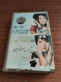 磁带 sweetg 17岁不温柔