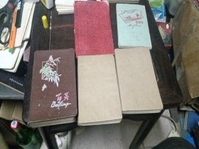 南京中医药大学教授，王鲁芬实习心得和药方。5本